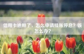 信用卡逾期了，怎么申请挂账停息？该怎么办？