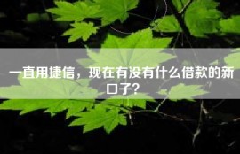 一直用捷信，现在有没有什么借款的新口子？