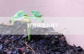 好期贷怎么样？