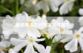 橙花果冻如何在家制作呢？