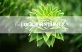 ppn和私募债的区别是什么？