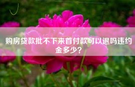 购房贷款批不下来首付款可以退吗违约金多少？