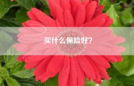 买什么保险好？