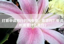 打算申请招行的闪电贷，靠谱吗？申请时需要什么条件？