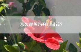 怎么跟爸妈开口借钱？