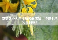 灵活就业人员缴纳养老保险，按哪个档次最划算？