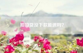 拍拍贷没下款能退吗？