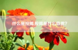 什么是按揭,按揭是什么意思？