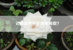 云南消费券在哪里领取？