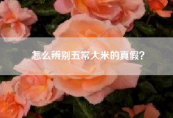 怎么辨别五常大米的真假？