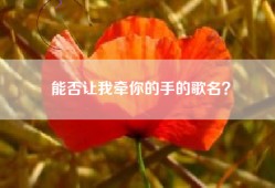 能否让我牵你的手的歌名？