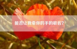 能否让我牵你的手的歌名？