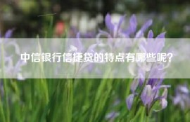 中信银行信捷贷的特点有哪些呢？