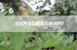 无抵押贷款是怎么申请的？