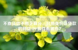 不查征信不用芝麻分，只用身份证贷款的网贷APP软件有哪些？