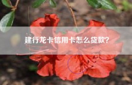 建行龙卡信用卡怎么贷款？