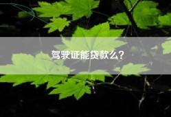 驾驶证能贷款么？