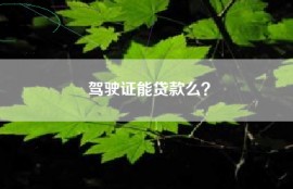 驾驶证能贷款么？