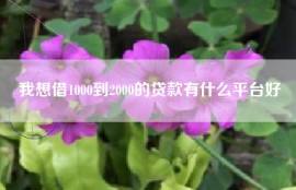 我想借1000到2000的贷款有什么平台好