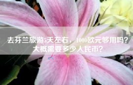 去芬兰旅游5天左右，1000欧元够用吗？大概需要多少人民币？