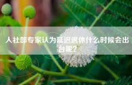 人社部专家认为延迟退休什么时候会出台呢？