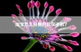 淘宝怎么分期付款买手机？