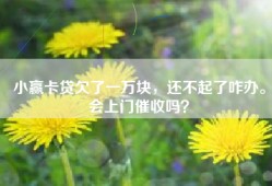 小赢卡贷欠了一万块，还不起了咋办。会上门催收吗？