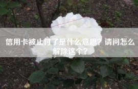 信用卡被止付了是什么意思？请问怎么解除这个？