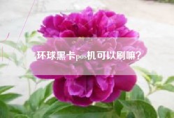 环球黑卡pos机可以刷嘛？