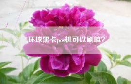 环球黑卡pos机可以刷嘛？