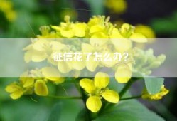 征信花了怎么办？