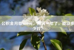 公积金月缴1100元，刚满一年了，能贷多少钱？