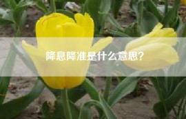 降息降准是什么意思？