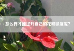 怎么样才能提升自己的花呗额度呢？