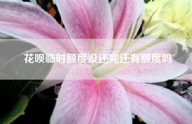 花呗临时额度没还完还有额度吗