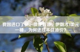 我国进口了伊、俄便宜油，伊朗才4美元一桶，为何还压不住油价？