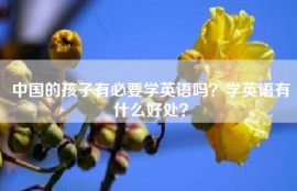 中国的孩子有必要学英语吗？学英语有什么好处？