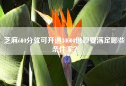 芝麻600分就可开通30000借呗要满足哪些条件呢？