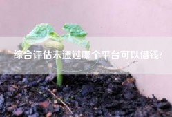 综合评估未通过哪个平台可以借钱?