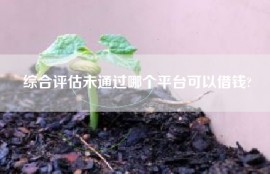 综合评估未通过哪个平台可以借钱?