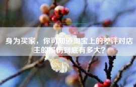 身为买家，你可知道淘宝上的差评对店主的损伤到底有多大？