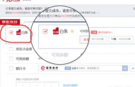 京东买东西怎么打白条_京东白条怎么用？