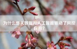 为什么是大数据和人工智能驱动了风控应用？