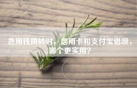 急用钱周转时，信用卡和支付宝借呗，哪个更实用？