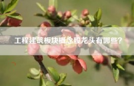 工程建筑板块概念股龙头有哪些？