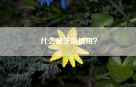 什么是芝麻信用？