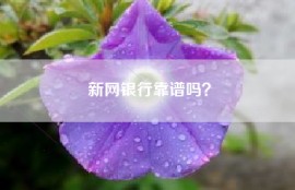 新网银行靠谱吗？