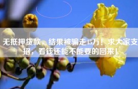 无抵押贷款，结果被骗走45万！求大家支招，看钱还能不能要的回来！