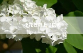 小花钱包上征信吗