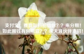 支付宝！要我如何相信你？？来分期！如此圈钱有何用意？？求天涯伙伴支招！